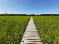 Wanderung Darßer Ort 