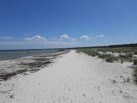 Wanderung Darßer Ort (Nordstrand bei Prerow)