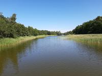 Wanderung Darßer Ort (Prerower Strom)