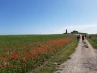 Wanderung entlang der Hohen Küste zwischen Wustrow und Ahrenshoop (Aufstieg zum Bakelberg)