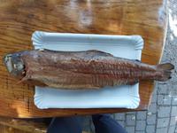 Althagen (Fischräucherei Zur Reuse) - Forelle