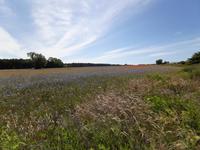 Wanderung von Althagen nach Wustrow