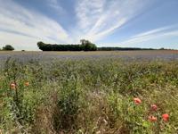 Wanderung von Althagen nach Wustrow