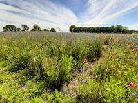Wanderung von Althagen nach Wustrow