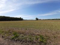 Wanderung von Althagen nach Wustrow