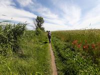 Wanderung von Althagen nach Wustrow