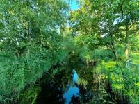 Morgenspaziergang in Dierhagen