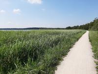 Boddenwanderweg von Wieck a. Darß nach Born