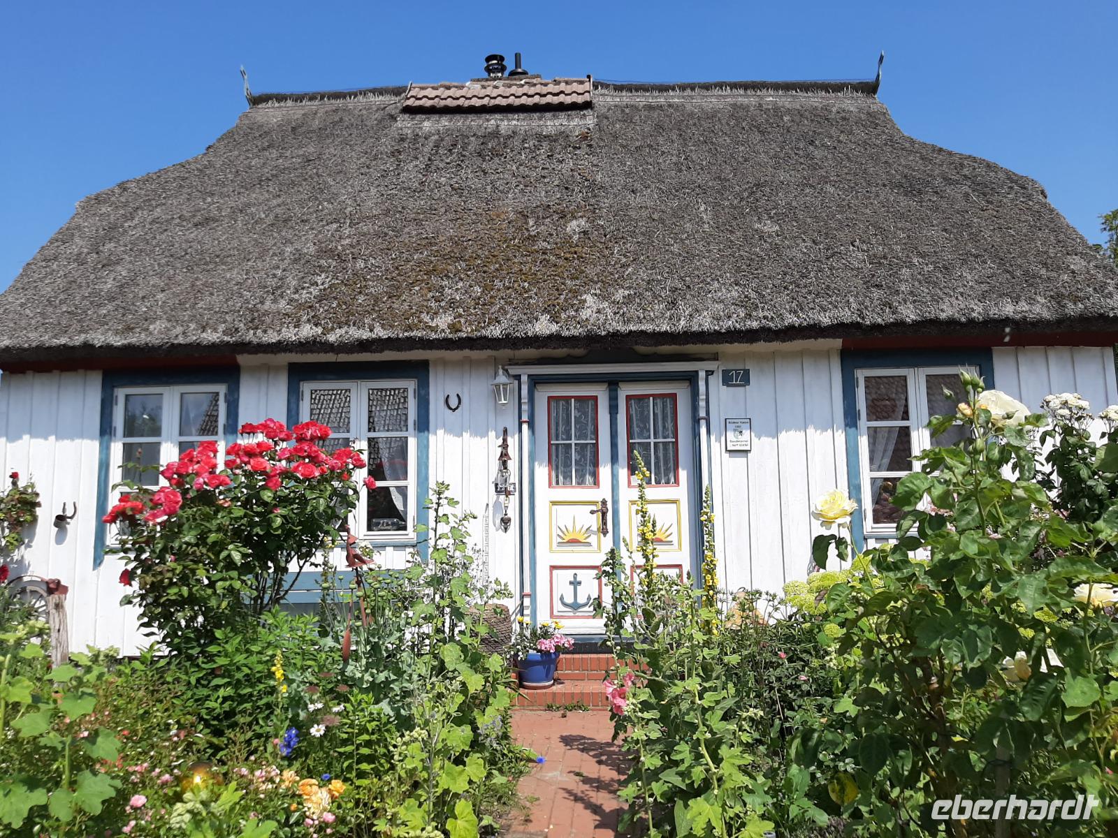 Born (typisches Darßer Haus)