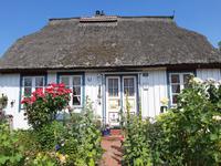 Born (typisches Darßer Haus)