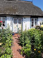 Born (typisches Darßer Haus)