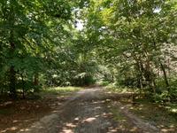 Wanderung durch den Darßwald zum Weststrand