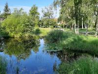 Kurpark in Dierhagen-Strand