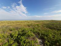 Dierhagen-Strand am Morgen der Abreise 