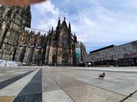 Flusskreuzfahrt A-ROSA • Der Kölner Dom während der Stadtrundfahrt in Köln