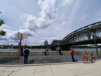 Flusskreuzfahrt A-ROSA • Der Rhein während der Stadtrundfahrt in Köln