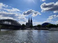 Flusskreuzfahrt A-ROSA • Blick auf den Kölner Dom am Rhein