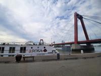 Flusskreuzfahrt mit A-ROSA FLORA • in Rotterdam