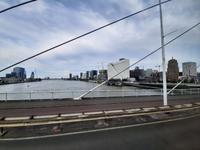 Flusskreuzfahrt mit A-ROSA FLORA • Stadtrundfahrt in Rotterdam