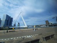 Flusskreuzfahrt mit A-ROSA FLORA • Stadtrundfahrt in Rotterdam, Erasmusbrücke