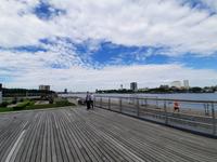 Flusskreuzfahrt mit A-ROSA FLORA • Stadtrundfahrt in Rotterdam