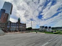Flusskreuzfahrt mit A-ROSA FLORA • Stadtrundfahrt in Rotterdam