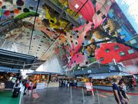Flusskreuzfahrt mit A-ROSA FLORA • Stadtrundfahrt in Rotterdam, Markthalle