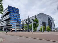 Flusskreuzfahrt mit A-ROSA FLORA • Stadtrundfahrt in Rotterdam, Markthalle