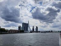 Flusskreuzfahrt mit A-ROSA FLORA • Rotterdam, Erasmusbrücke