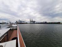 Flusskreuzfahrt mit A-ROSA FLORA • kleine Hafenrundfahrt in Rotterdam