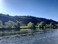 Flusskreuzfahrt mit A-ROSA FLORA • unterwegs auf der Mosel