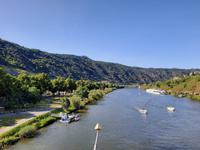 Flusskreuzfahrt mit A-ROSA FLORA • Blick auf die Mosel in Cochem