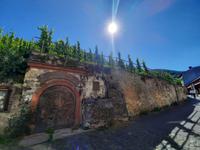 Flusskreuzfahrt mit A-ROSA FLORA • Weinberg des Doctorweins in Bernkastel-Kues