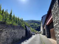 Flusskreuzfahrt mit A-ROSA FLORA • Weinberg des Doctorweins in Bernkastel-Kues