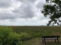 Amrum Weg aus Wald auf Heideflächen