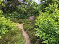 Hinweisschild für falschen Weg