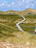 Bohlenweg durch die Dünen Amrum