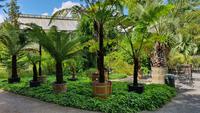Im Botanischen Garten von Dresden