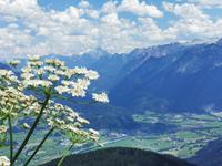 Ausblick von der Roßfeldpanoramastraße