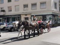 Auch in Salzburg kann man mit der Pferdekutsche die Stadt entdecken