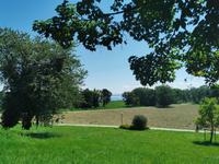 Blick über die Herreninsel