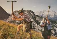 So wird der Enzian gewonnen, mit harter Handarbeit, Berchtesgaden