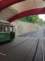 Anstieg zum Drachenfels