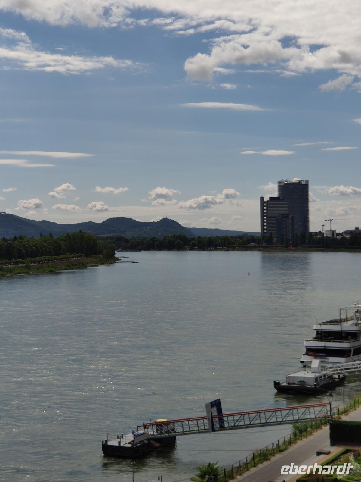 Blick auf das Siebengebirge