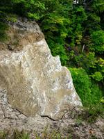 Rügen - Kreidefelsen 