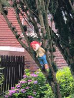 Kein Gartenzwerg in Ostfriesland 