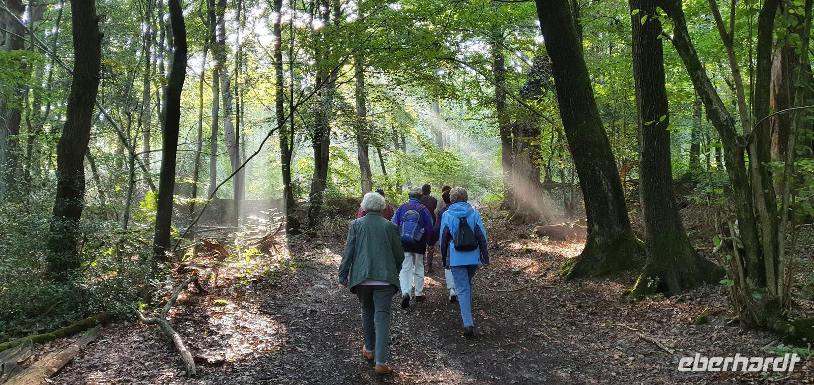 auf dem Hermannsweg zu den Externsteinen