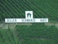 Weinberge an der Mosel