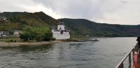 Rhein - Zollburg Pfalzgrafenstein
