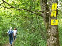 Spaziergang auf dem Willibaldsburg und Frauenbergkapelle (2)